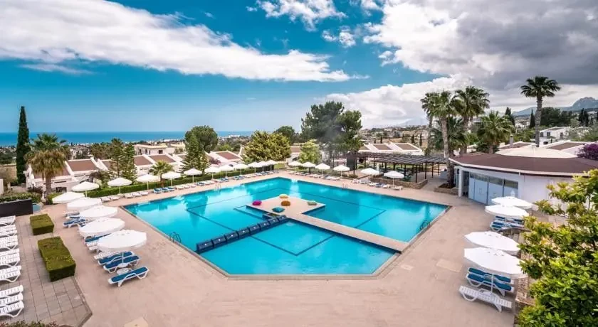 The Olive Tree Hotel