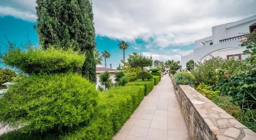 The Olive Tree Hotel