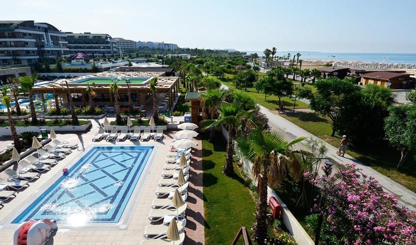 Trendy Verbena Beach