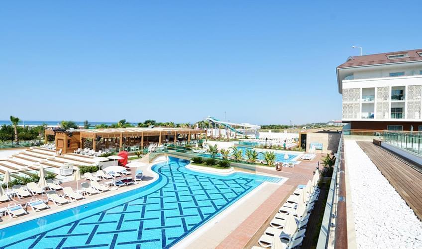 Trendy Verbena Beach