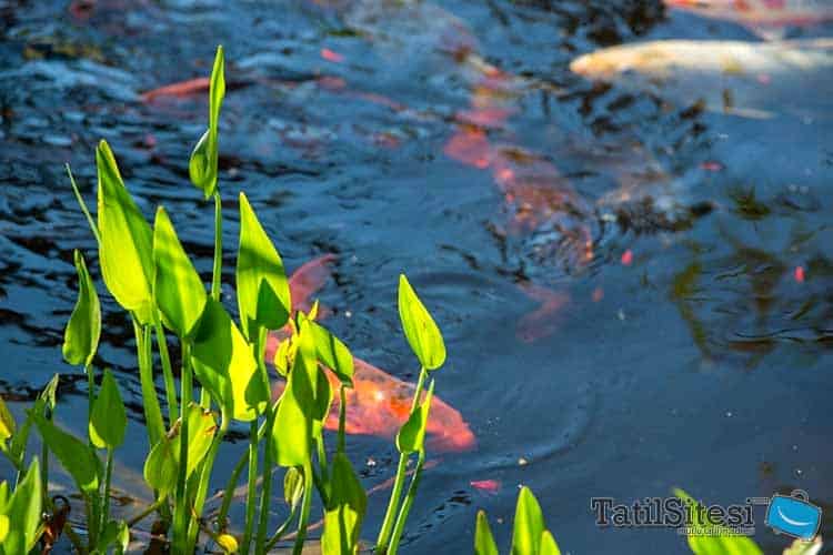 Suncity Hotel Beach Club