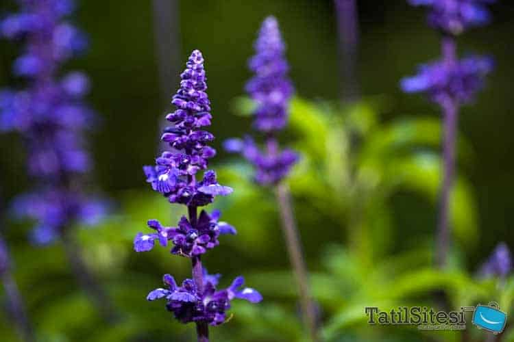 Suncity Hotel Beach Club