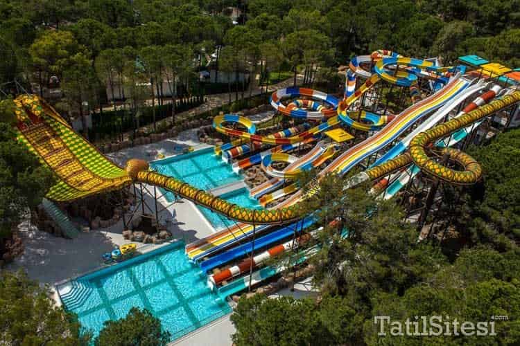 Nirvana Mediterranean Excellence