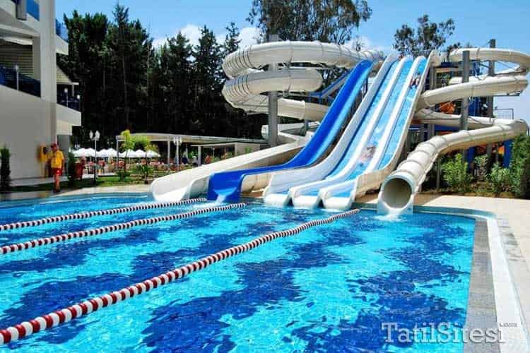 Delphin Botanik Platinum