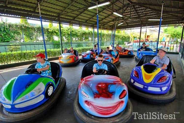 Delphin Botanik Platinum