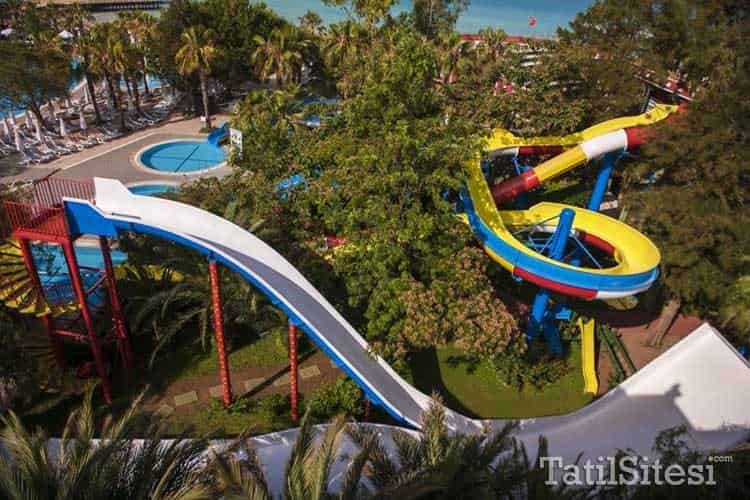 Delphin Botanik Platinum