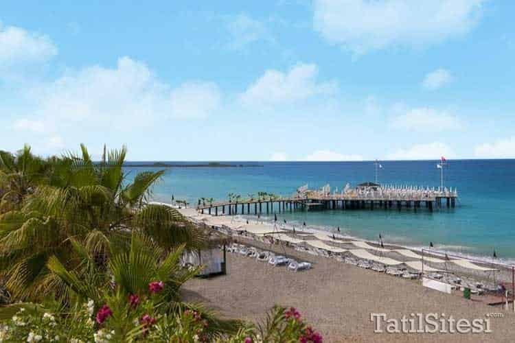 Delphin Botanik Platinum