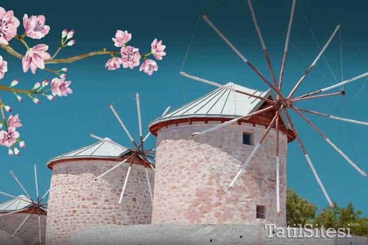 Casa Sevilla Alaçatı Town