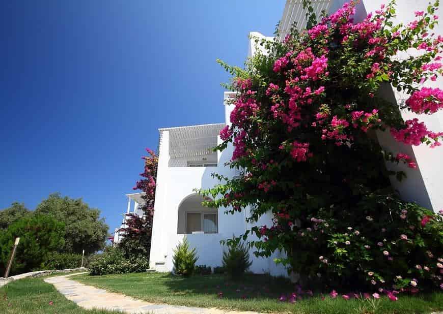 Vega Boutique & Aparts