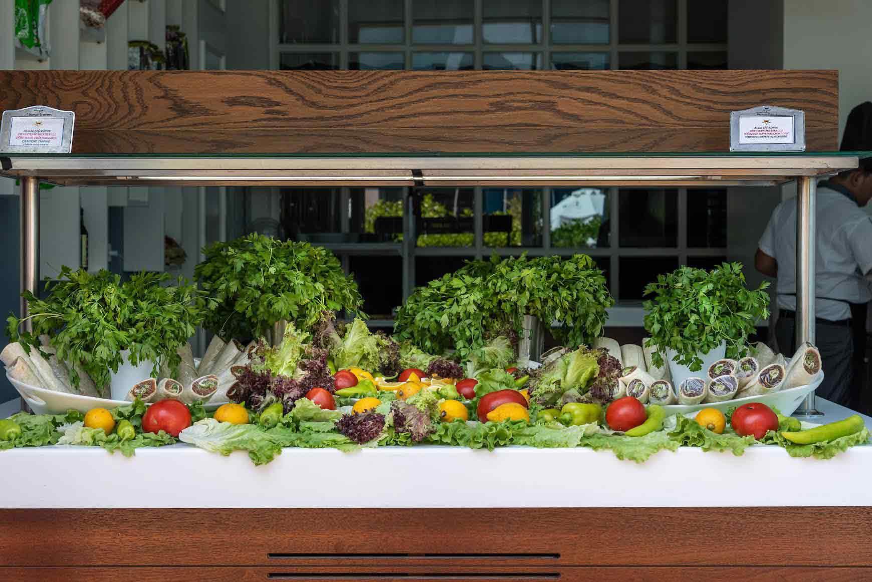 Vikingen İnfinity Resort Spa