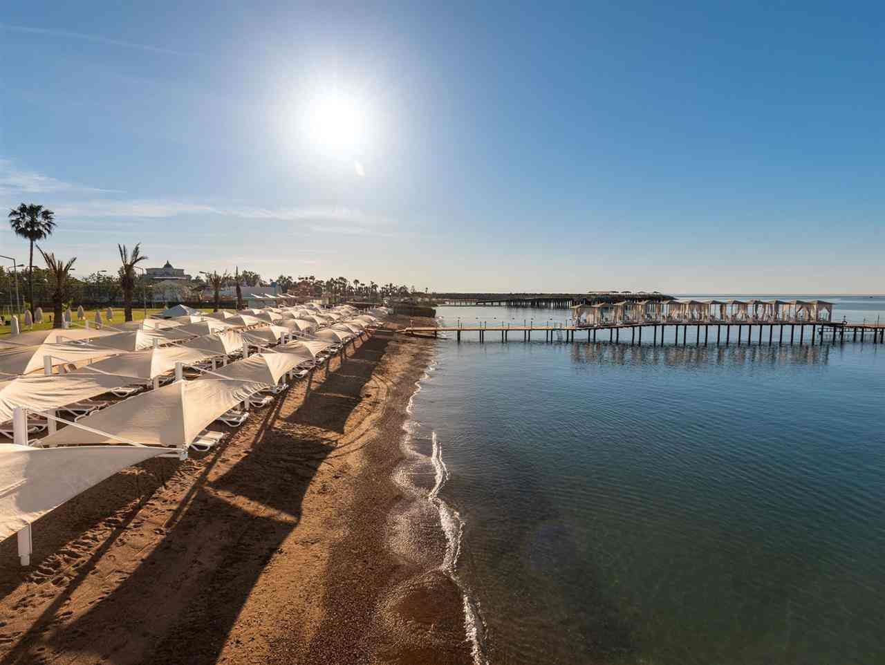 WOW Topkapı Palace Mice