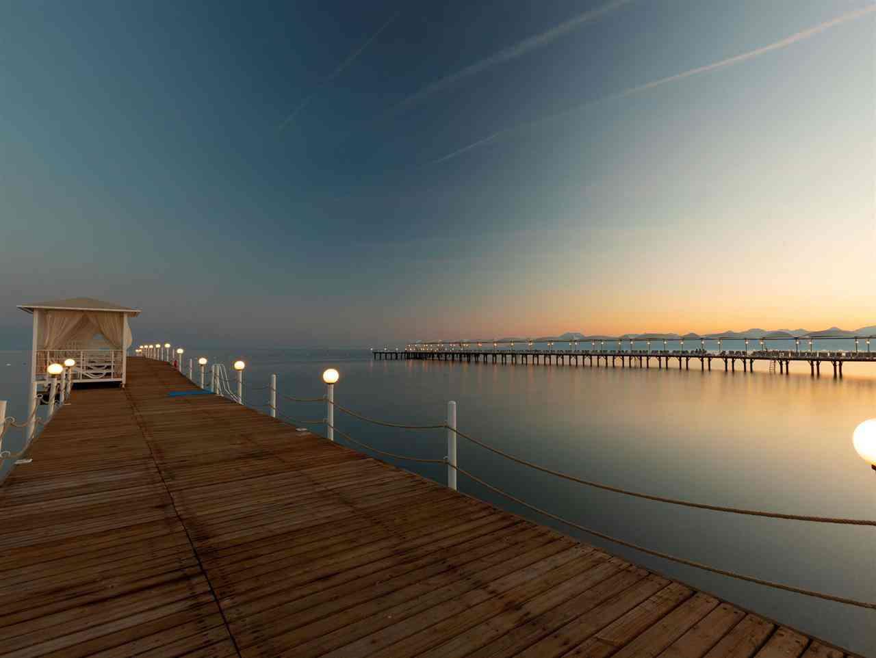 WOW Topkapı Palace Mice