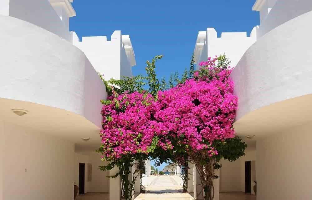 Zemda Hotel Gumusluk