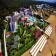 Asteria Sorgun Resort