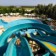Barut Lara