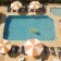Dolphin Suite Hotel