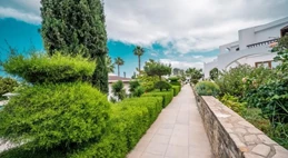 The Olive Tree Hotel