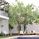 Satsuma Suites