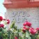 Otel Alya